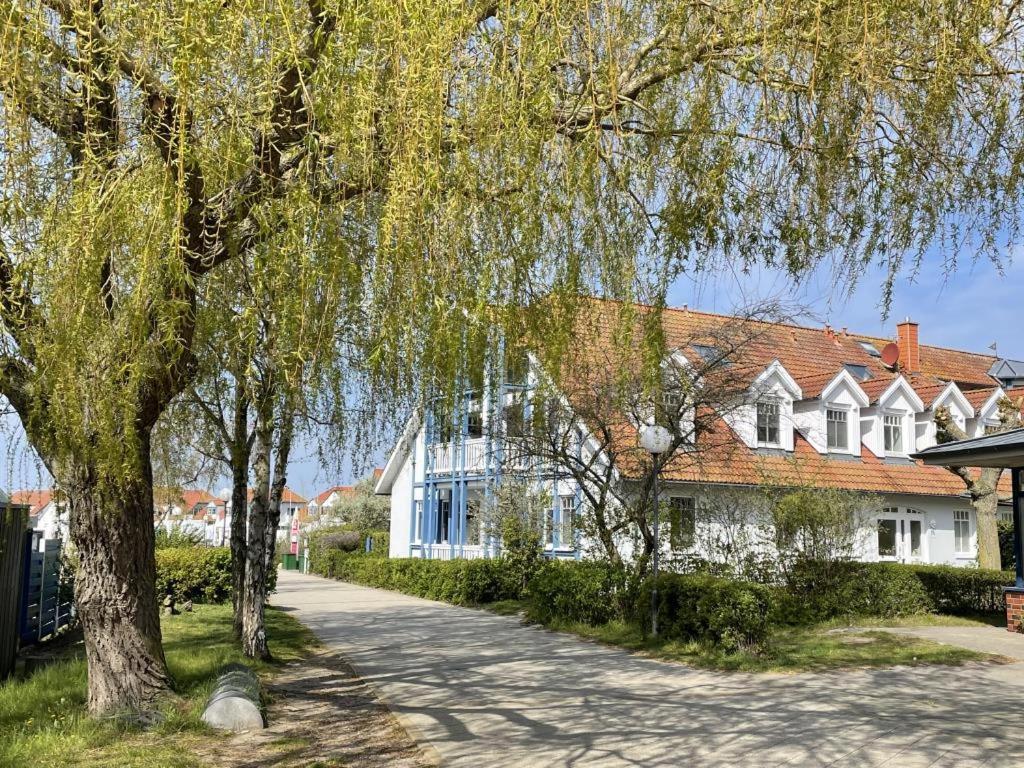 Fewo 27 Strandnahe Ferienwohnung Marlyn Rerik Kültér fotó