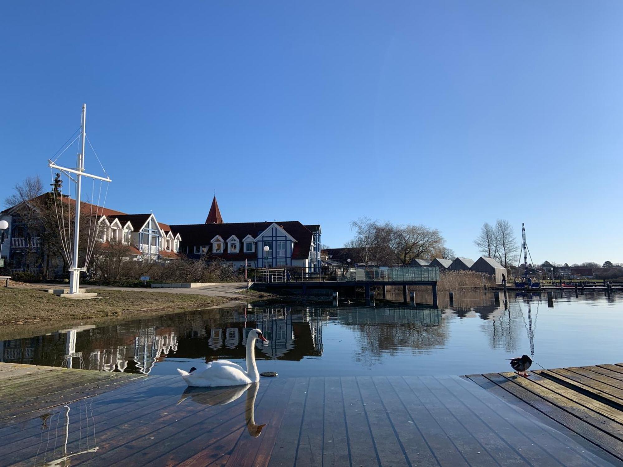 Fewo 27 Strandnahe Ferienwohnung Marlyn Rerik Kültér fotó